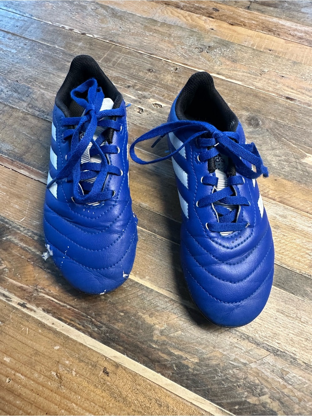 adidas Kids Blue Sneakers with White Stripes